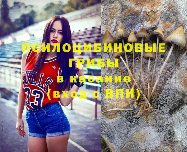 амф Белоозёрский