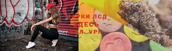 ГАЛЛЮЦИНОГЕННЫЕ ГРИБЫ Беломорск