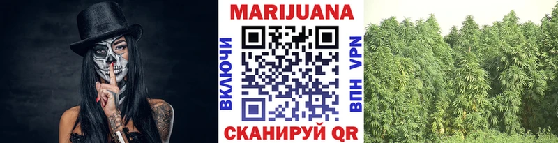 Конопля ГИДРОПОН Богородицк